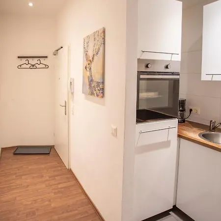 Apartment Deluxe City Center Studio