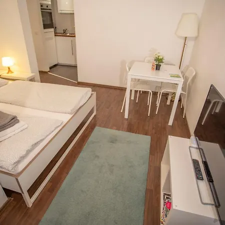 Deluxe City Center Studio Apartment *